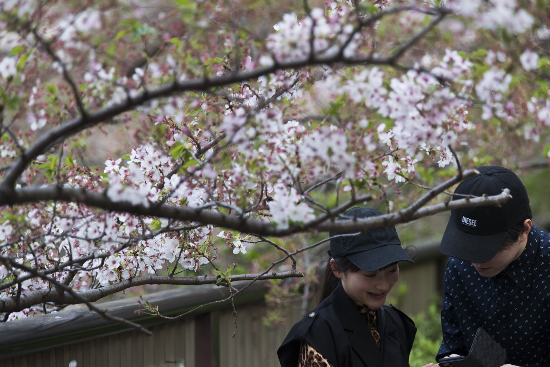 Japan Daily Life